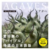 アガベ : 原種・栽培品種・交配種の表紙