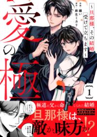 愛の極 : 旦那様、その結婚受けて立ちますの表紙
